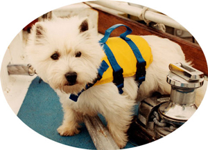Pet's Life Vest